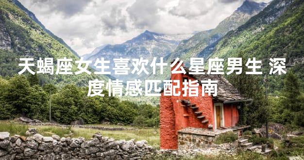 天蝎座女生喜欢什么星座男生 深度情感匹配指南